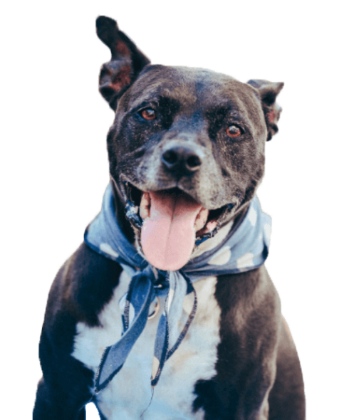 Our amazing testimonials