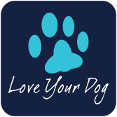 Love Your Dog